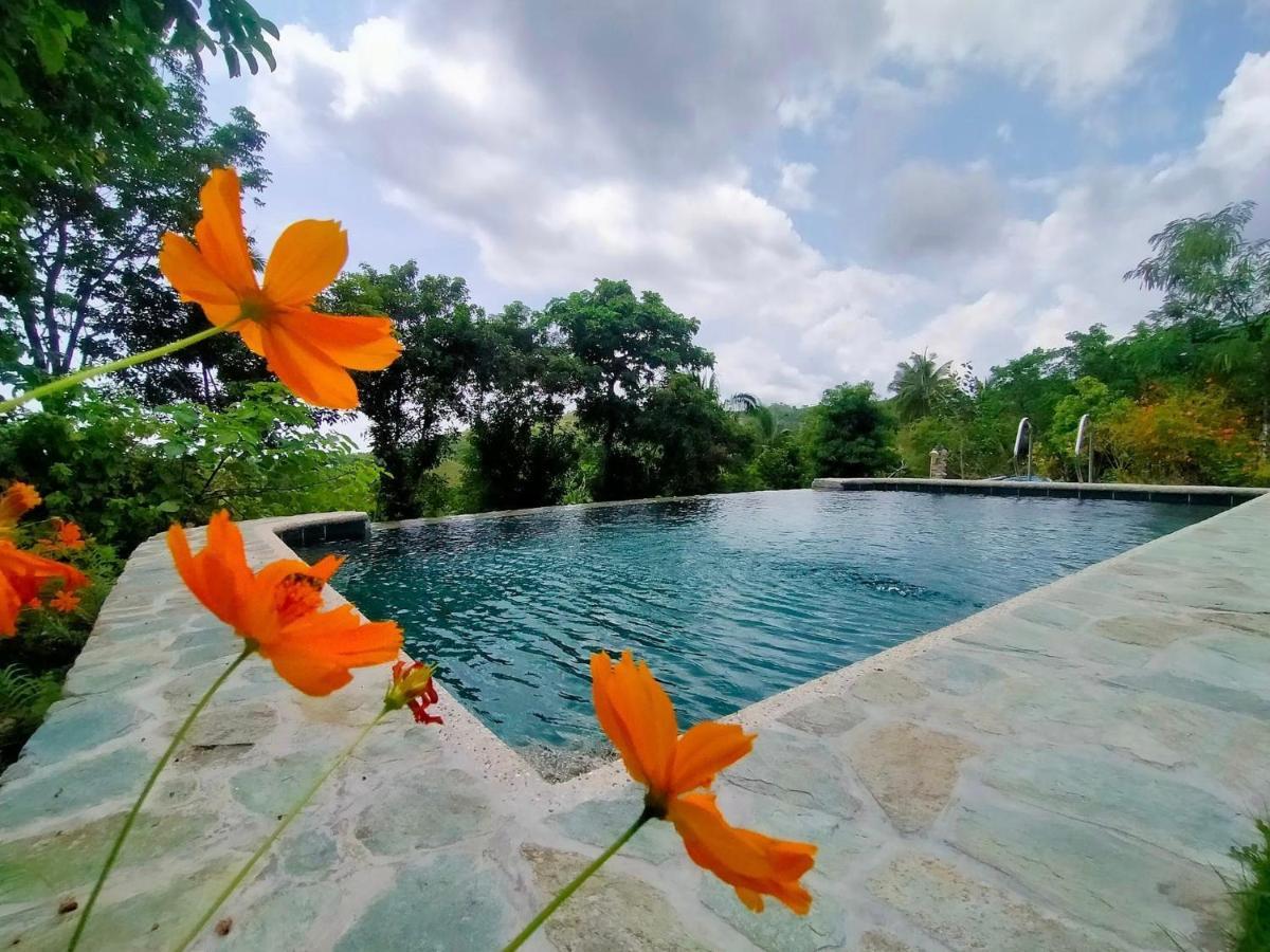 Marquis garden Eco-cottages Tayong Extérieur photo
