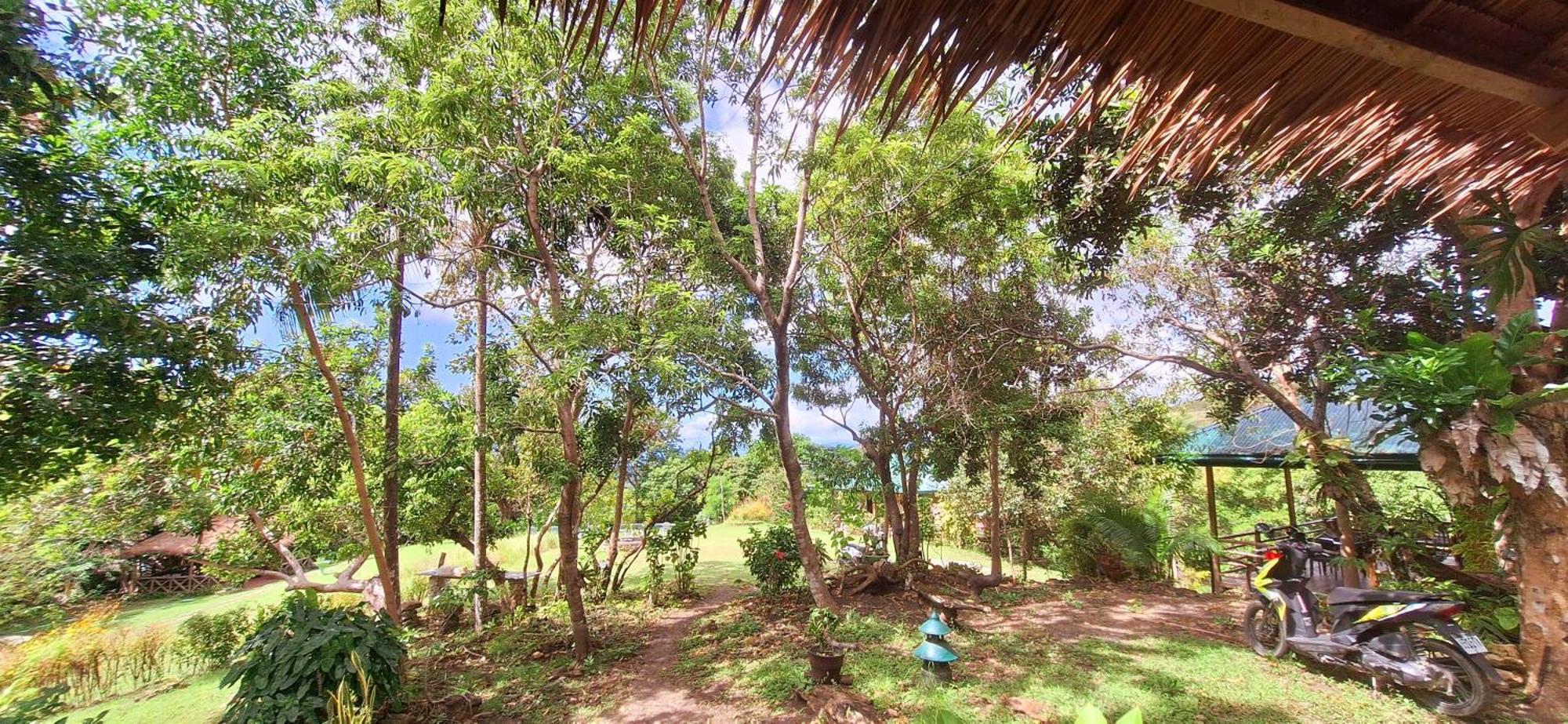 Marquis garden Eco-cottages Tayong Extérieur photo