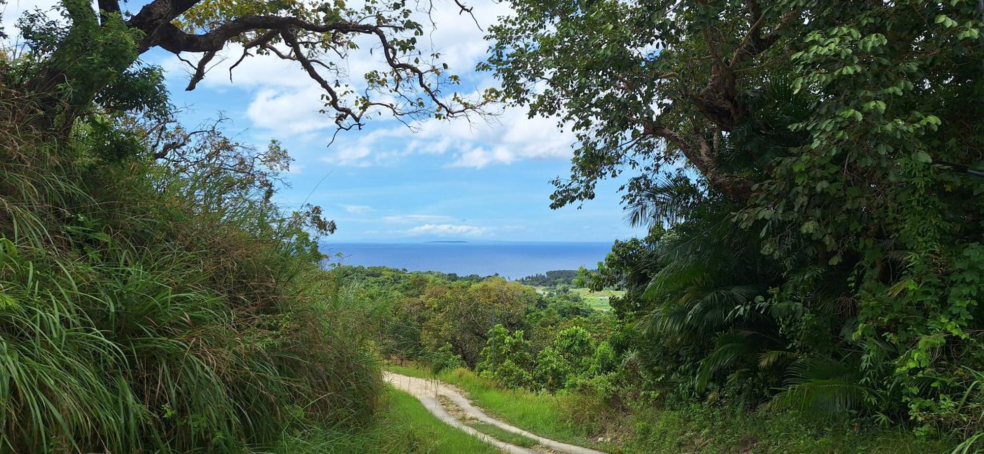 Marquis garden Eco-cottages Tayong Extérieur photo